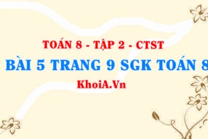 Bài 5 trang 9 Toán 8 Chân trời sáng tạo Tập 2